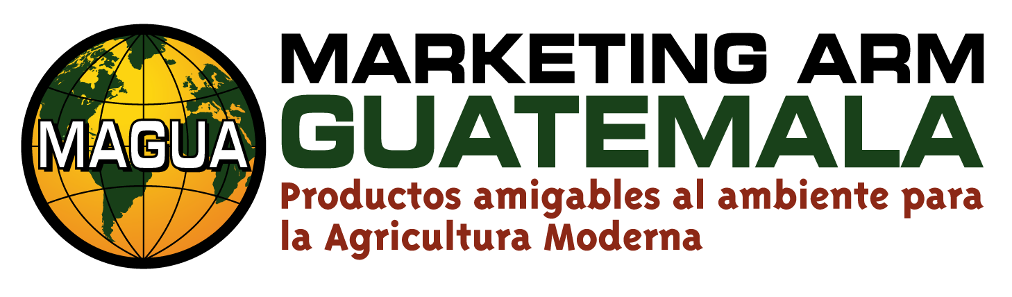 Marketing ARM Guatemala